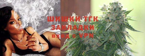 apvp Каменка
