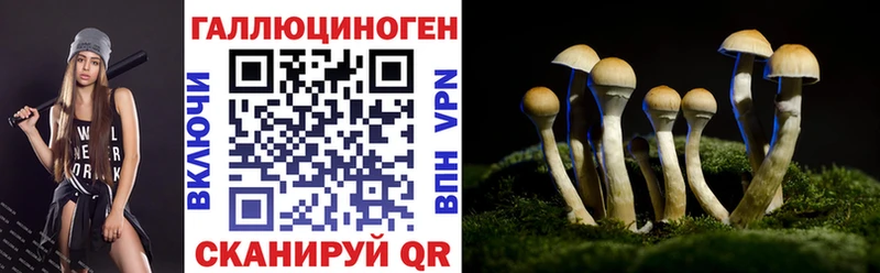 Псилоцибиновые грибы MAGIC MUSHROOMS  ОМГ ОМГ рабочий сайт  Сретенск 